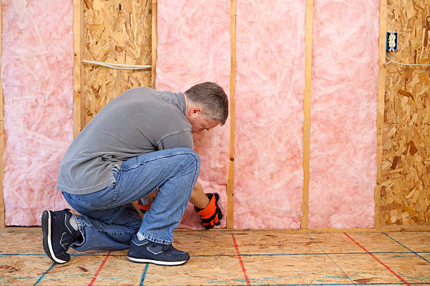 Best Insulation Removal  in Warrenvle, IL